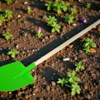 Лопата детская деревянный черенок