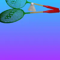 Ракетки бадминтон с воланом