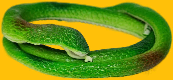 Антистресс игрушка змея