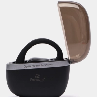 Беспроводные наушники FAIZ 100 черные