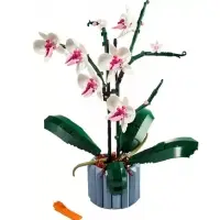 Конструктор Цветы, Орхидея в вазе, 608 деталей