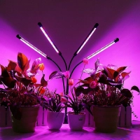 Фитолампа для растений и рассады