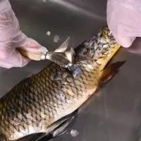 Рыбочистка с ножом