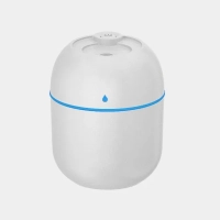 Увлажнитель воздуха Яйцо (цвет в ассортименте)