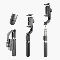 Монопод-стабилизатор R15