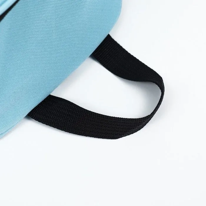 Рюкзак для переноски животных с окном для обзора голубой