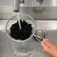 Сито диаметр 16см