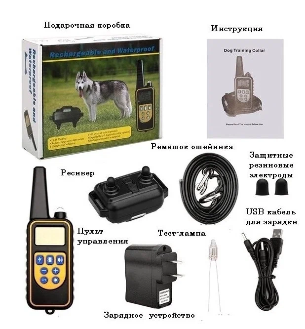 Электронный ошейник для дрессировки собак