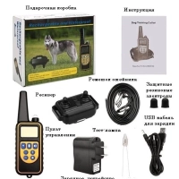 Электронный ошейник для дрессировки собак