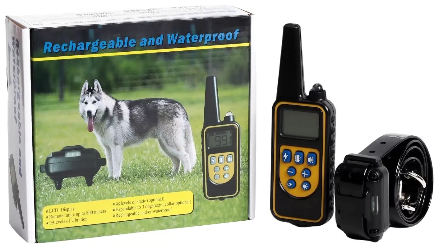 Электронный ошейник для дрессировки собак