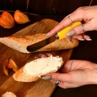 Нож для сыра Сырный ломтик