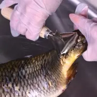 Рыбочистка с ножом