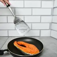 Лопатка Премьера