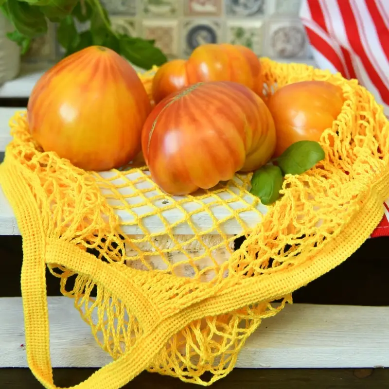 Сумка для покупок с ручками Ретро Авоська Колор 50х45 см (ассортимент)