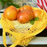 Сумка для покупок с ручками Ретро Авоська Колор 50х45 см (ассортимент)