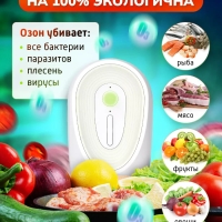 Поглотитель запаха для холодильника