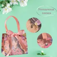 Подарочный пакет "Девочка" с открыткой 13 см