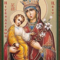 Икона БМ "Неувядаемый Цвет" 4х6 на МДФ-6