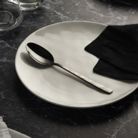 SATOSHI Модерн Ложка столовая, 19,8см, нерж.сталь