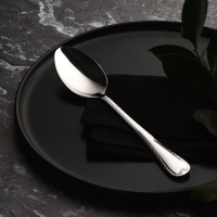 SATOSHI Эвора Ложка столовая 6 пр. на блистере