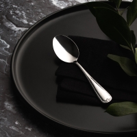 SATOSHI Эвора Ложка чайная 6 пр. на блистере