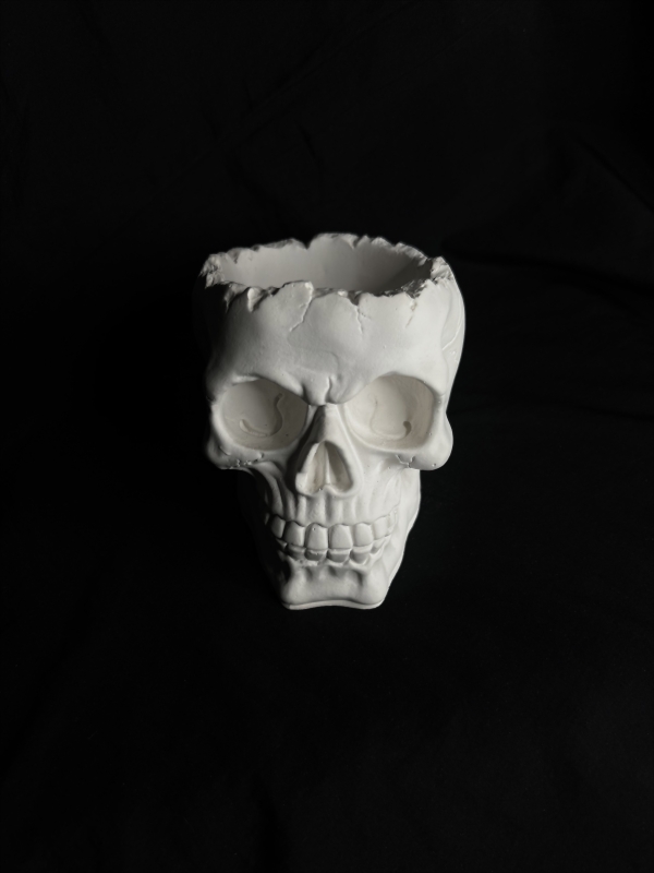 Кашпо Органайзер Череп