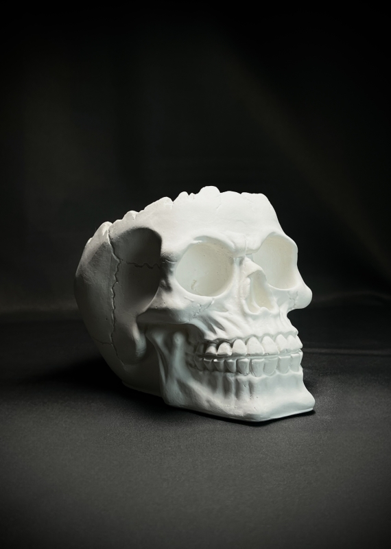 Кашпо Органайзер Череп