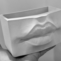 Кашпо Органайзер Женские губы