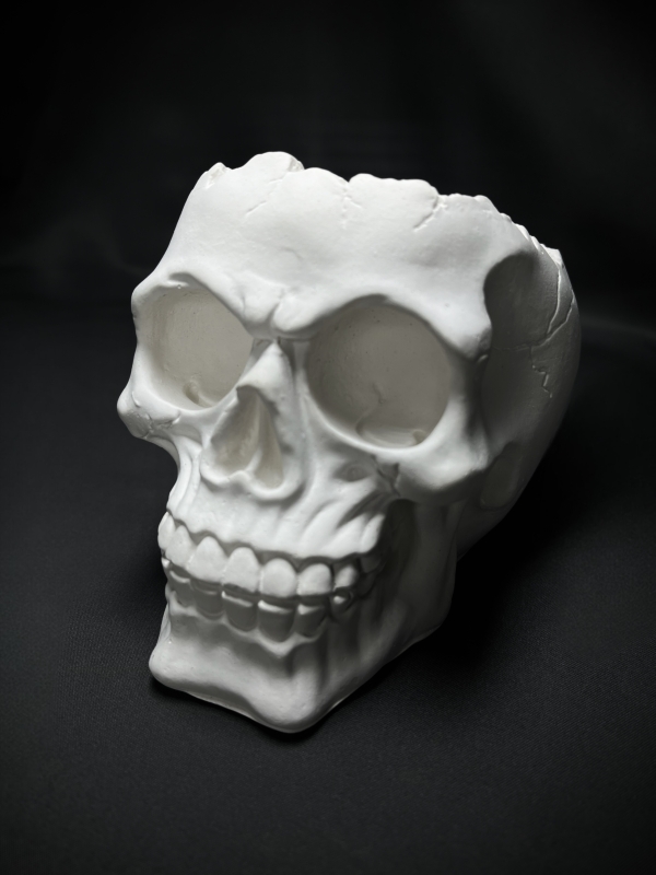 Кашпо Органайзер Череп