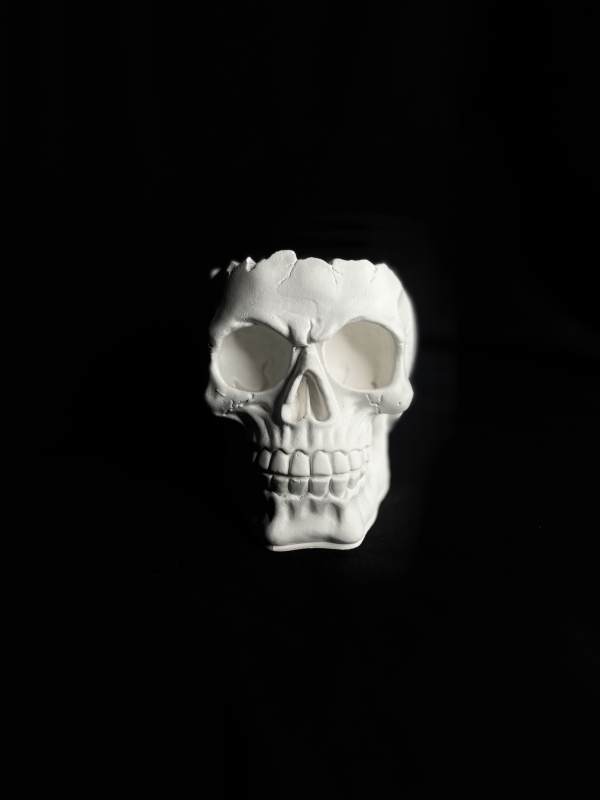 Кашпо Органайзер Череп