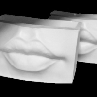 Кашпо Органайзер Женские губы