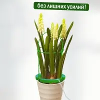 Опора для цветов комнатных с автополивом 46см