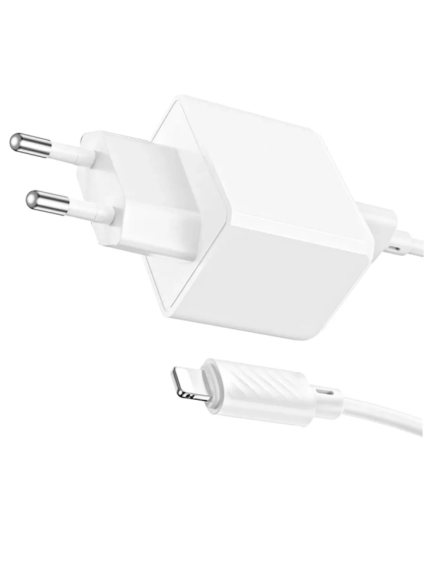 Зарядное устройство Hoco CS11A Ocean + кабель Lightning