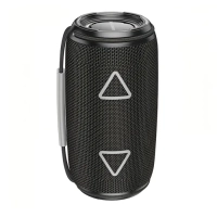 Портативная колонка Borofone BR38 черная