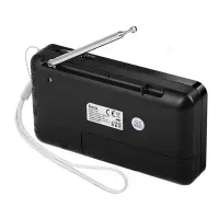 Портативное радио HOCO HI50