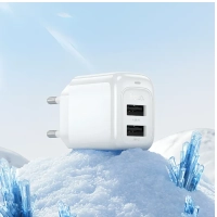 Сетевое зарядное устройство HOCO CS51A 2 USB 2400mA